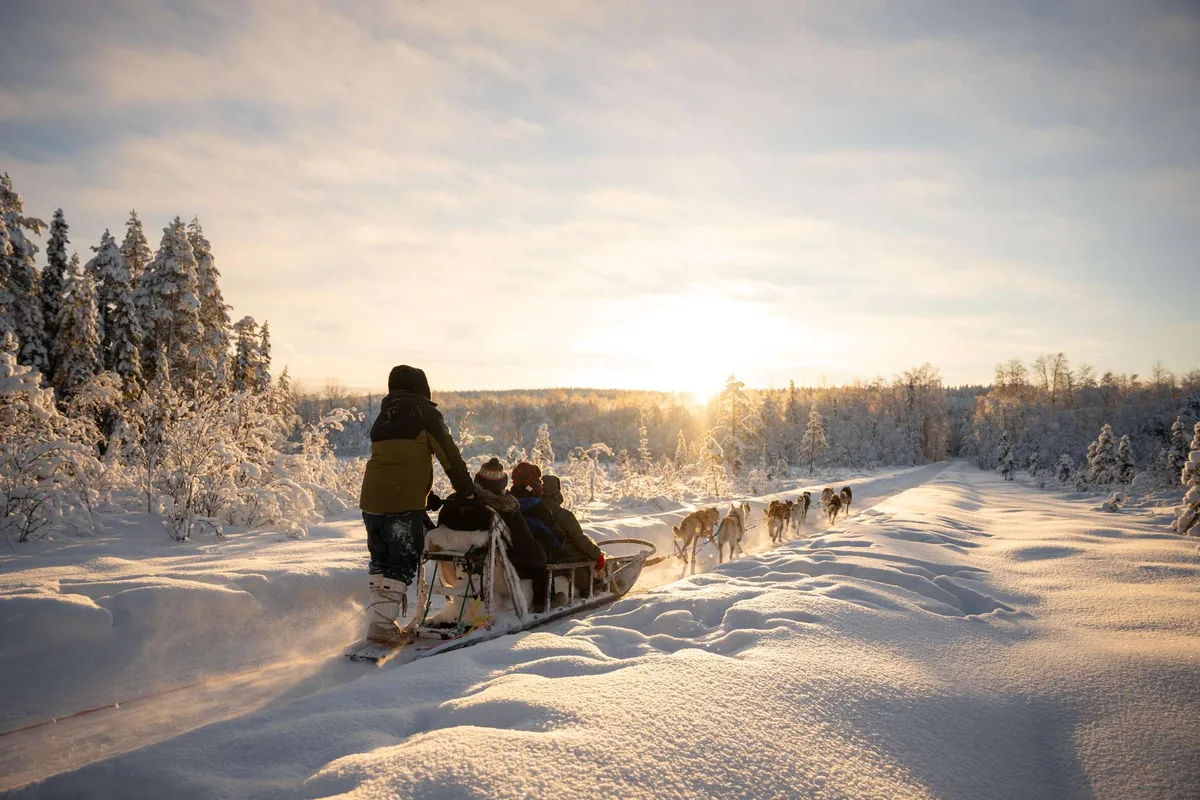Husky experience and 3 km sled ride with Beyond Arctic and professional photos in Rovaniemi Finnish Lapland