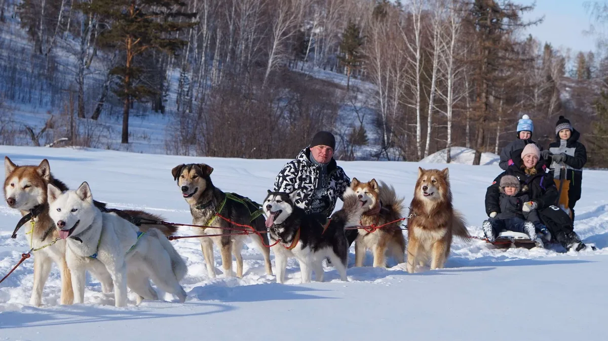 2 hr 30 husky safari and visit to the Huskygorod family farm at Vuojärvi Sodankylä in Finnish Lapland