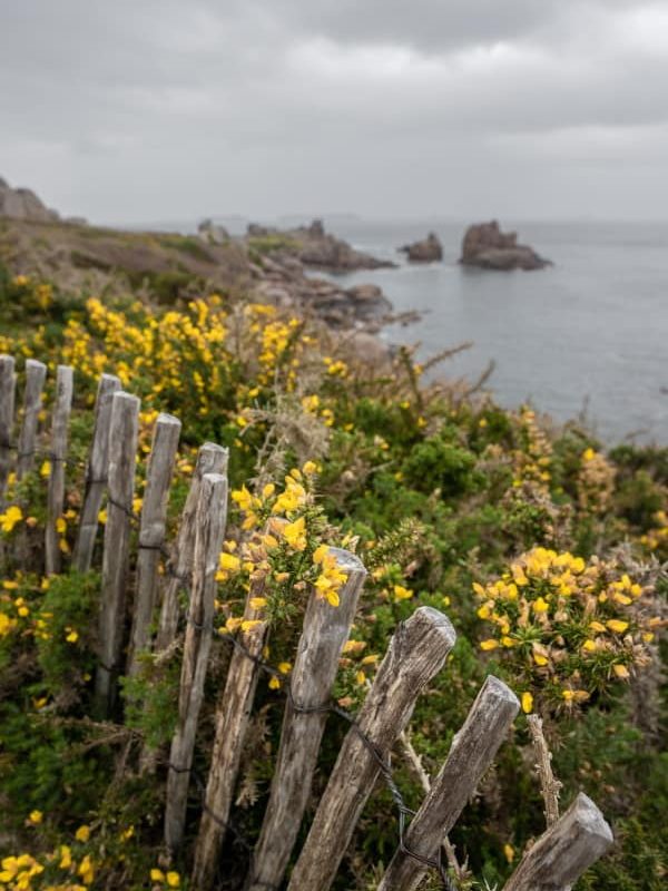 sentier des douaniers perros guirec