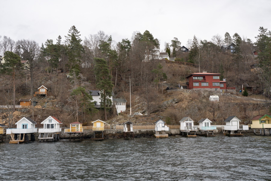 croisière fjord oslo maisons norvégiens